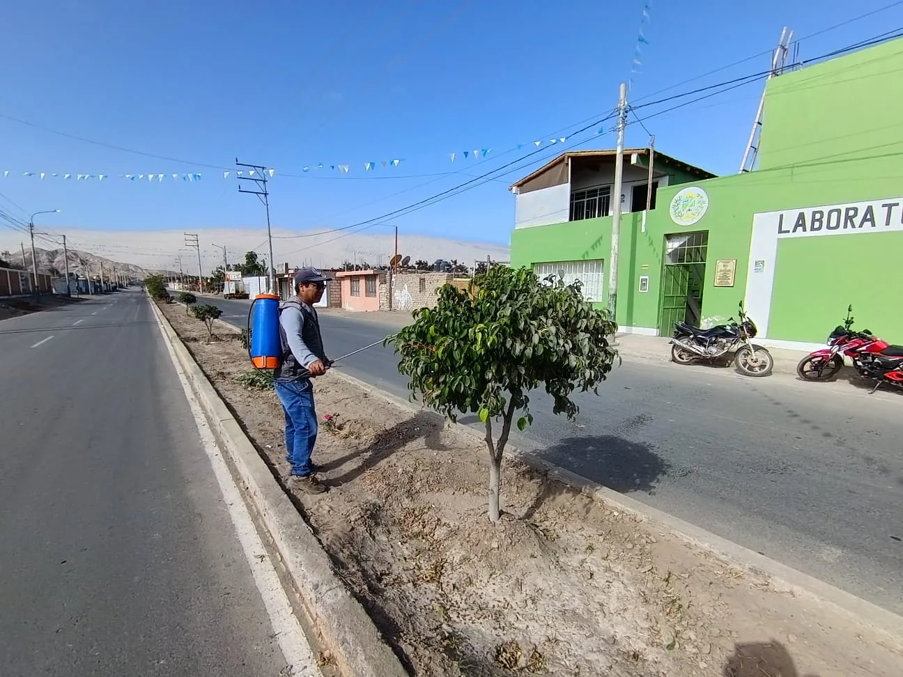 Trabajo agrícola de apoyo